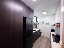 Esparina Residences (D19), Condominium #609526611